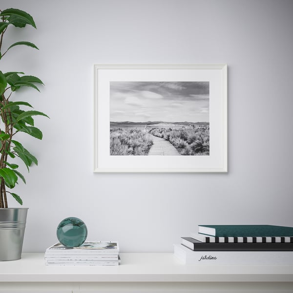 Framed black-and-white landscape photo on wall. Below, shelf holds magazines, books, decorative sphere, and potted plant.