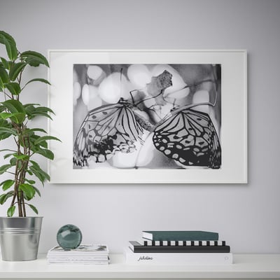 A framed black and white two butterflies hangs on a wall. Below it, a potted plant, books, and a glass sphere sit on a shelf.