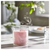 A burning pink scented candle in a clear glass jar on a light-colored table. Soft smoke curls upwards, surrounded by green plants and natural light.