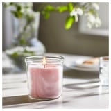 Pink scented candle in glass cup on wooden surface with greenery.