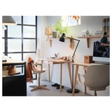 Minimalist home office with wooden desk, lamp, computer, plants. Natural light.