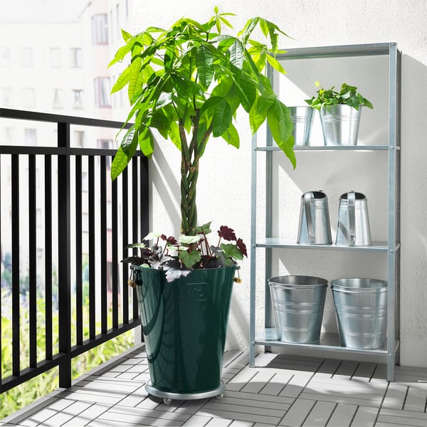Balcony with large green plant and smaller plants on metal shelves, black railing.