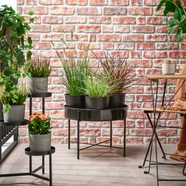 Red brick patio with PENNISETUM plants in pots, greenery, and a cozy table setting.