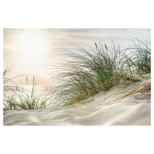 Sand dune grass, sunlit sky. Wrapped canvas frame.