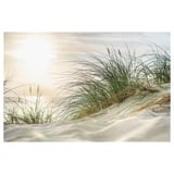 Sand dune grass, sunlit sky. Wrapped canvas frame.