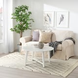 Cozy living room with beige rug, white table, sofa, and large plant.