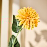 SMYCKA Artificial flower, Chrysanthemums/orange, 55 cm