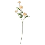 SMYCKA: cream artificial flower stem with green leaves, made from recycled materials.