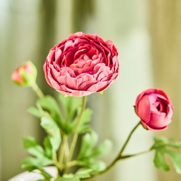 SMYCKA Artificial flower, in/outdoor Ranunculus/dark pink, 52 cm