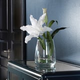 A clear glass vase with a single white lily sits on a dark cabinet against a blue wall.