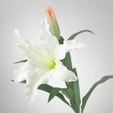 Artificial white lily with green leaves; realistic, crafted with detailed petals, stem, and veins.
