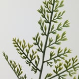 Close-up of artificial plant stem with intricate green leaves, showcasing lifelike and durable design.