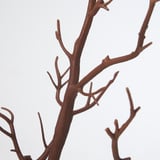 Branches detail. Brown, lifelike stems with intricate texture, positioned against a white background.