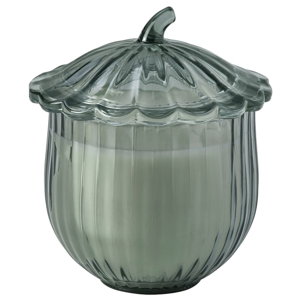 SNÖSISKA Scented candle in glass with lid, Cinnamon and warm wood dark grey-green, 40 hr