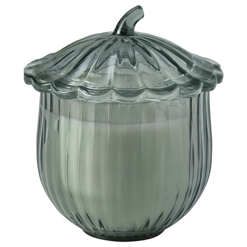 SNÖSISKA Scented candle in glass with lid, Cinnamon and warm wood dark grey-green, 40 hr