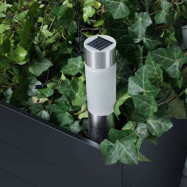 A solar-powered lamp placed among green leaves, charging during the day and lighting up at night.