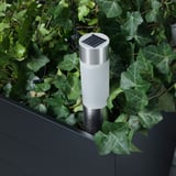 A solar-powered lamp placed among green leaves, charging during the day and lighting up at night.
