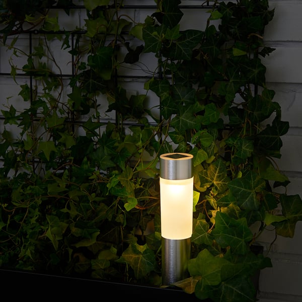 A solar-powered light embedded in greenery; it automatically illuminates at night, using sunlight absorbed during the day.