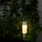 A solar-powered light embedded in greenery; it automatically illuminates at night, using sunlight absorbed during the day.
