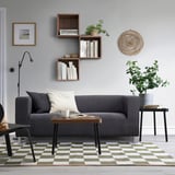 Grey sofa, coffee table, shelves with books, plants, natural light.