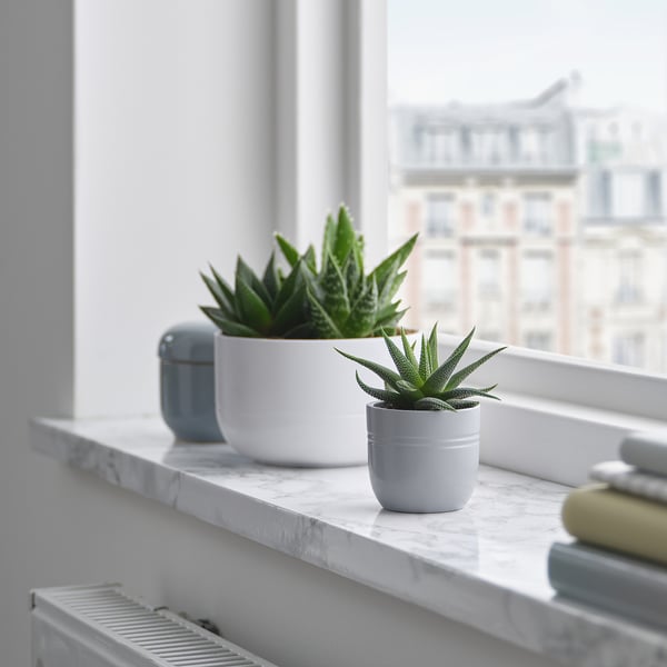 Two SUCCULENTs in white pots near window, one larger, one smaller; sleek, modern design. Marble counter. City view outside.