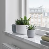 Two SUCCULENTs in white pots near window, one larger, one smaller; sleek, modern design. Marble counter. City view outside.