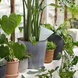 Self-watering pots with green plants near a window.