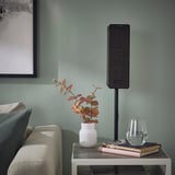 A sleek, black SYMFONISK speaker on a stand beside a white vase with dried flowers and books on a small table, with a green wall and art behind.