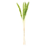 TORKA: bright green, dried grass stems bundled, natural and fresh look.