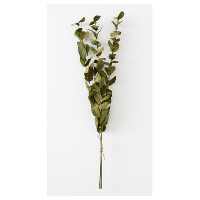 TORKA - dried green foliage plant bundle with jute string.