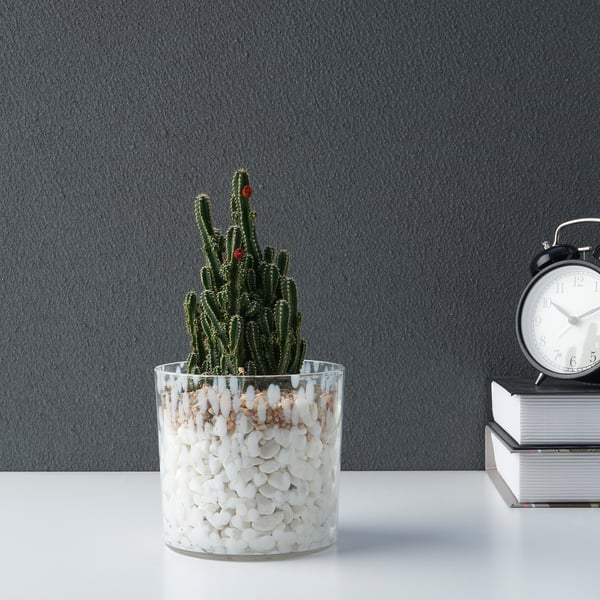 ULLSYREN Plant pot, dotted white, 12 cm