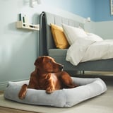 Dog resting in a soft, supportive UTSÅDD bed in a cozy bedroom.