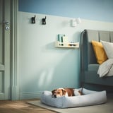 Dog bed with raised edges in blue room, paw hooks above.