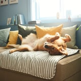 Small dog lounges upside down on a striped cushion, showcasing a cozy, reversible pet blanket designed to protect furniture from fur and dirt.
