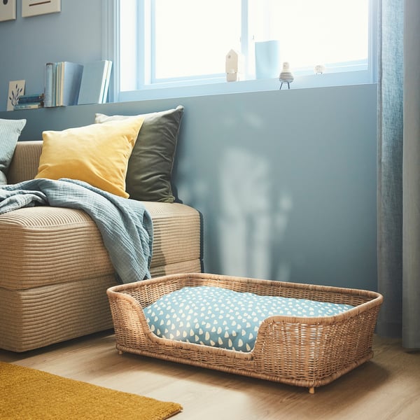 Cozy wicker pet bed with padded cushion by window, ideal for medium dogs or large cats.