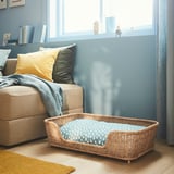 Cozy wicker pet bed with padded cushion by window, ideal for medium dogs or large cats.