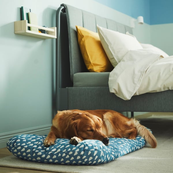 A cozy dog bed with a blue and white spotted cushions below a bunk bed, providing a comfy resting spot for a golden retriever.
