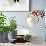 Person waters indoor plants using a white and gold watering can. Herbs in grey pots on table.