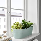 VITLÖK blue planter on window sill holds diverse plants, near books and sand timer.