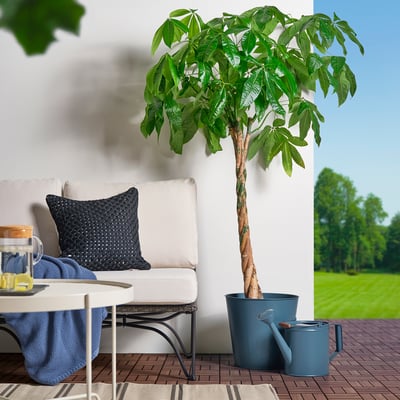 ÅKERBÄR Watering can, in/outdoor dark blue, 5 l