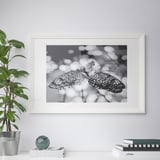 EDSBRUK Frame, white, 61x91 cm
