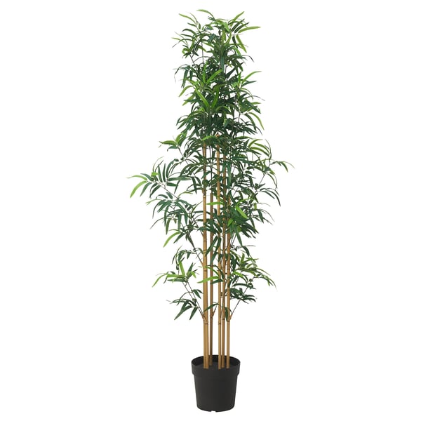 FEJKA Artificial potted plant, in/outdoor bamboo, 23 cm