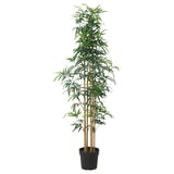FEJKA Artificial potted plant, in/outdoor bamboo, 23 cm