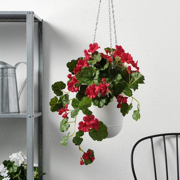 Artificial Plants & Flowers Buy Online and Instore IKEA