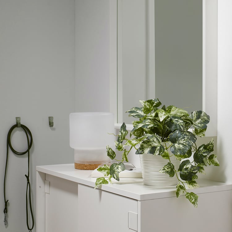 FEJKA artificial potted plant, Ivy, 12 cm IKEA