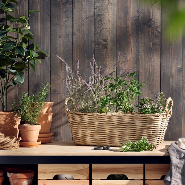 FLODBJÖRK Flower box, in/outdoor light grey-brown, 54x21 cm