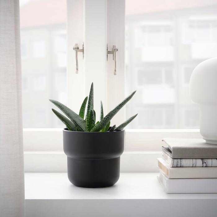Indoor Pots Buy Decorative Plant Pots Online & Instore IKEA