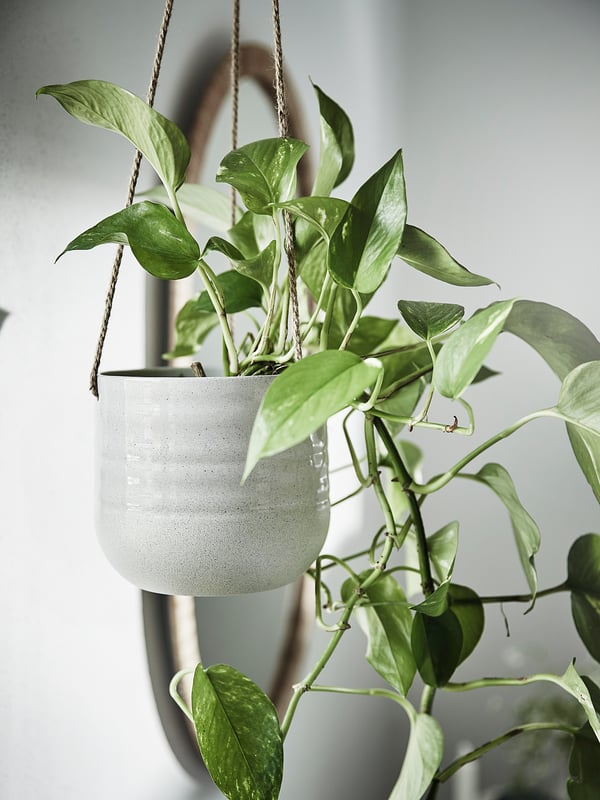 KAPKRUSBÄR hanging planter, light grey, 12 cm IKEA