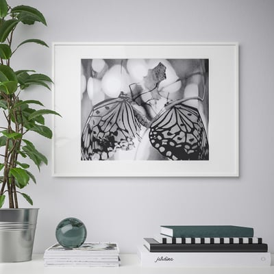 A framed butterfly print hangs on a plain wall, surrounded by a stack of books and a potted plant.