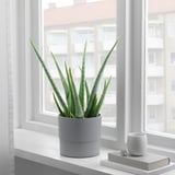NYPON Plant pot, in/outdoor grey, 15 cm